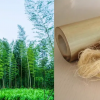 bamboo fiber