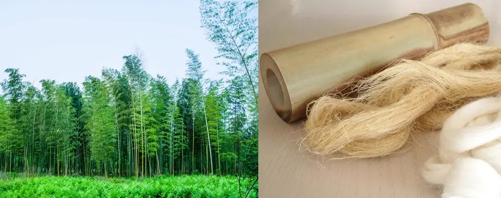 bamboo fiber